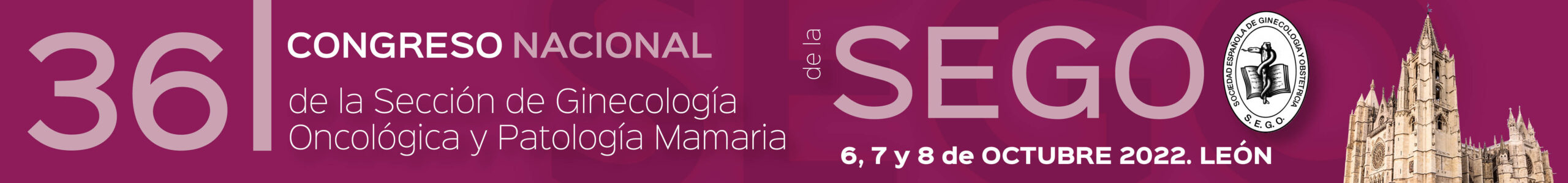 ONCOSego_2022_Banner_1280x150-A-scaled